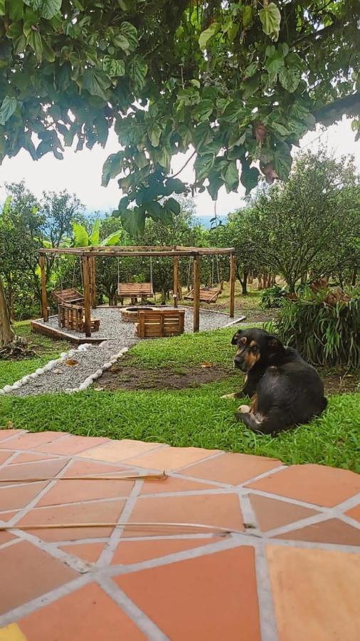 Finca Hotel La Bonita By La Macorina Quimbaya Esterno foto
